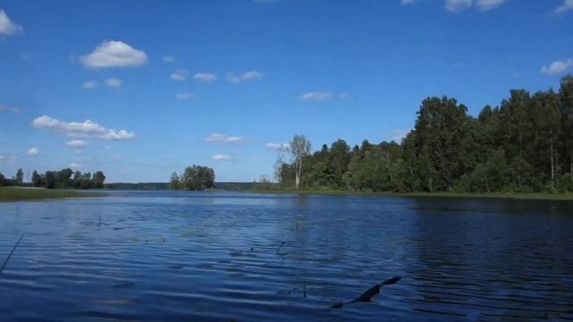 Подборка Лучших Моментов Из Жизни Дикой Природы смотреть онлайн