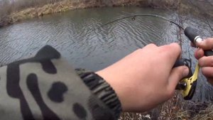 Ловля щуки поздней осенью на живца на поплавок!Жор щуки на спиннинг и живца!