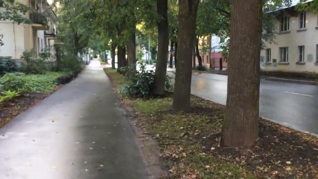 Влог: быт, прогулки, выставка, дача, день города. смотреть онлайн