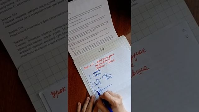 Урок 11 "Правша или левша. Решение ???задачи"