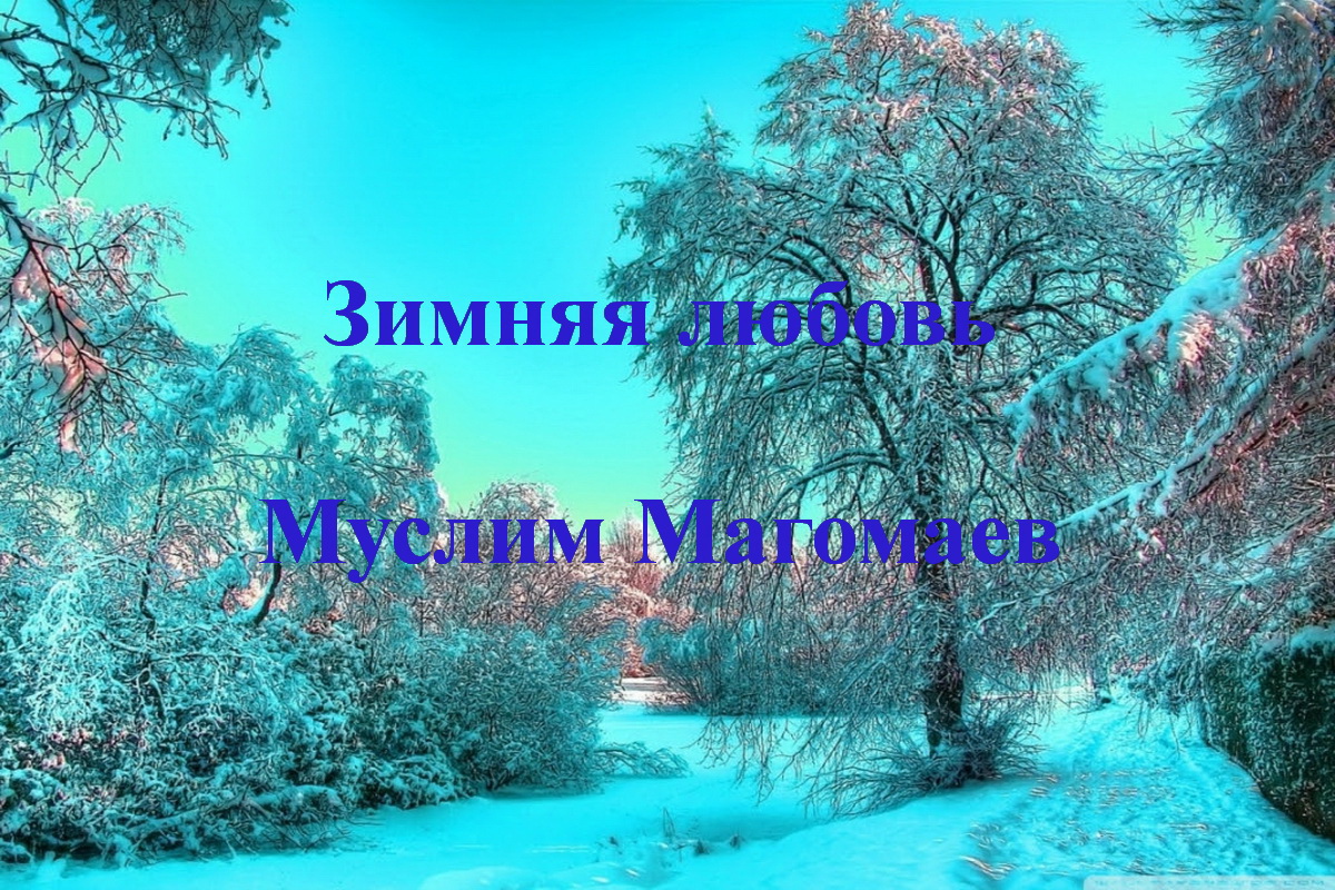 Зимняя любовь