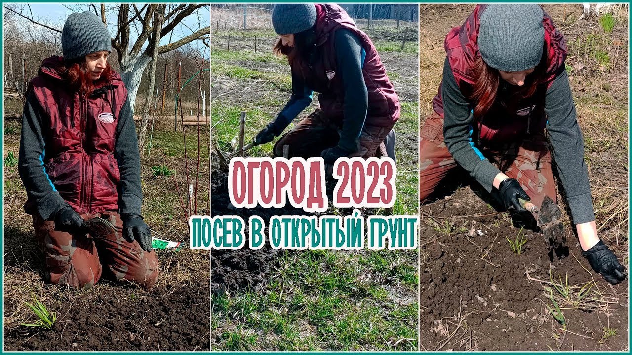 #огород  2023 _ Посев в открытый грунт _ #капуста #салат #шпинат