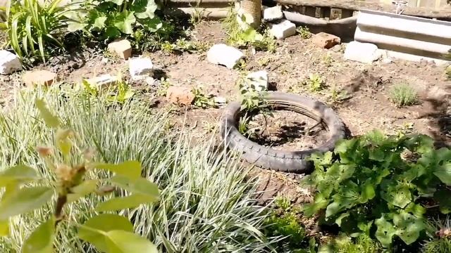 Хутор Черкесовский переулок Кирова. Что купила на рынке. Моя жизнь в деревне смотреть онлайн