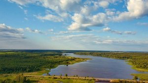 Поле, лес, озеро - красивые кадры с квадрокоптера