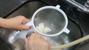 Тибетский молочный гриб всегда со мной! Как я делаю кефир в Коста-Рике.