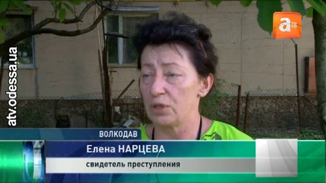 Дедовские методы уничтожения бродячих собак смотреть онлайн