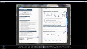 отчетность по стандартам ЦБ в банке на основе QlikView