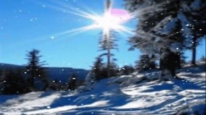 Серый волк.В.Клименков