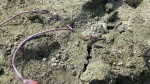 Установка насоса для скважины Водолей 0,3-63У Дача начало сентября 2021 СНТ «Автотранспортник»