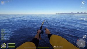 РР4 Акула сельдевая атлантическая