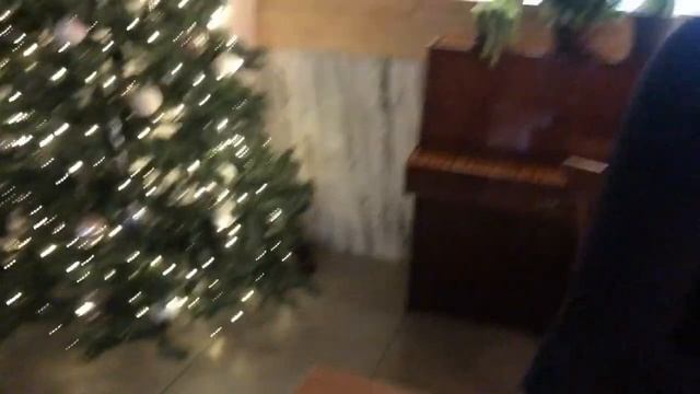 зимой самое время поехать в сочи смотреть онлайн