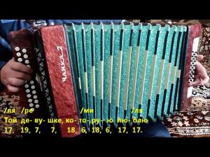 Букет (Разбор на гармони) А.Барыкин. Я буду долго гнать велосипед...
