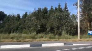 Немного о Псковской обл .едем в районе села дуброво