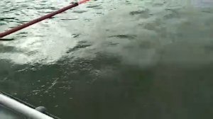 Рыбалка на Дону с лодки.