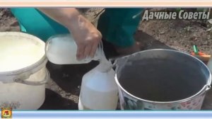 Вот как увеличить урожай огурцов. Супер простой и эффективный способ. Секрет высокого урожа