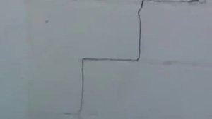 Баня из арболита отзыв