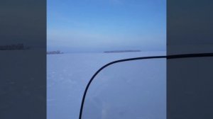 Охота на Лис. Лисы деревню одолели.