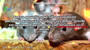 Сложный тест на эрудицию: Проходят только те, у кого IQ больше 120! №27