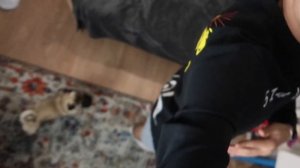 МОИ САМЫЕ ДОРОГИЕ КРОССОВКИ! И ЭТО НЕ NIKE...