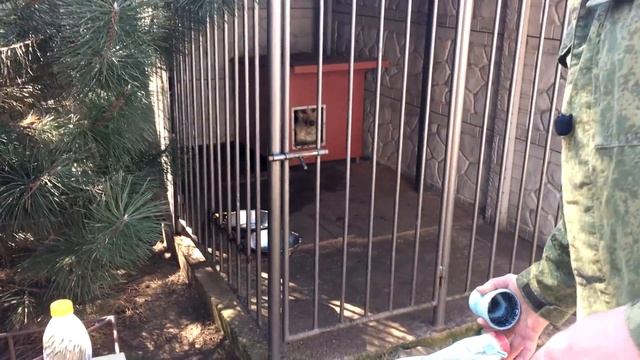 Как ЛЕГКО и БЫСТРО  ОТМЫТЬ ОПРЫСКИВАТЕЛЬ от бордоской жидкости!!! смотреть онлайн