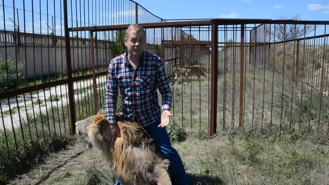 Подарок от Лолы! смотреть онлайн