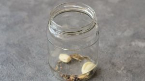 Капуста кольраби на зиму