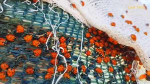 Гениальные и смешные записи в школьных тетрадях!