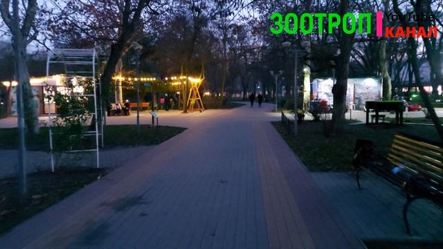 Парк Горького Одесса. Прогулка по Одессе. Одесса сегодня. Вечірня Одеса. Дед мороз и елка. #зоотроп