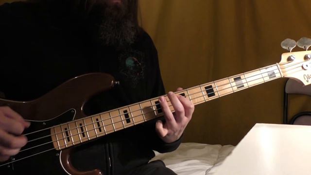 "Let's Lynch The Landlord" - DEAD KENNEDYS Bass Cover смотреть онлайн