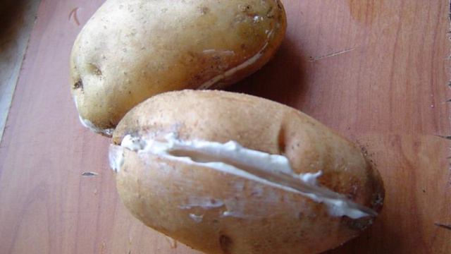 Картофель, запеченный в фольге со сметаной и сыром