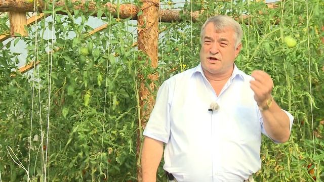 Программа "Наш Сад" № 47 смотреть онлайн