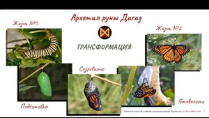 Руна Дагаз - Сила Трансформации