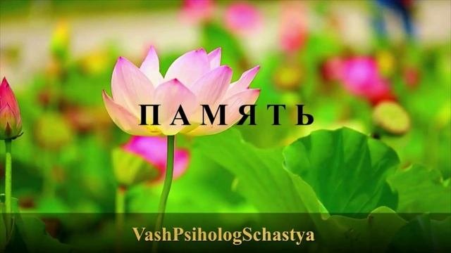 ⚡ 10 Память Контрольные вопросы #вашпсихологсчасть #осознание #память #учимпсихо #особенностипамяти