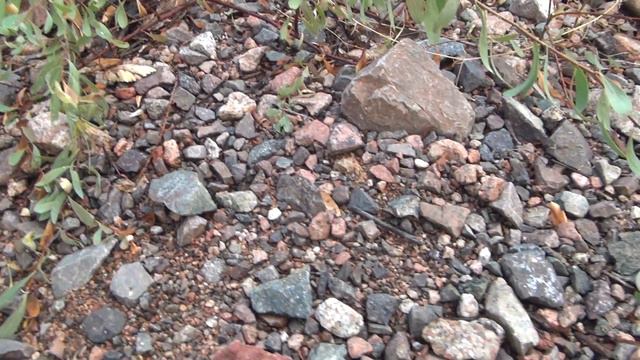 85 Желтый Сапфир выглядит как золото смотреть онлайн