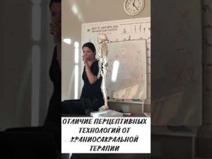 Чем перцептивные технологии отличаются от краниосакральной терапии?