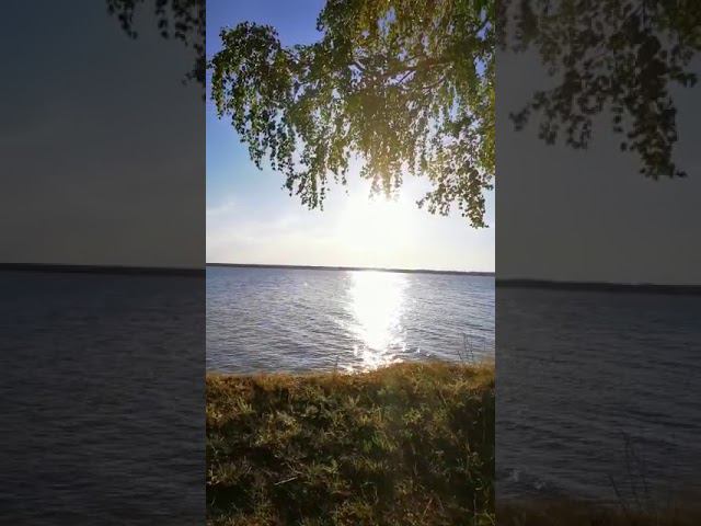 То что обычно вспоминаешь осенью смотреть онлайн