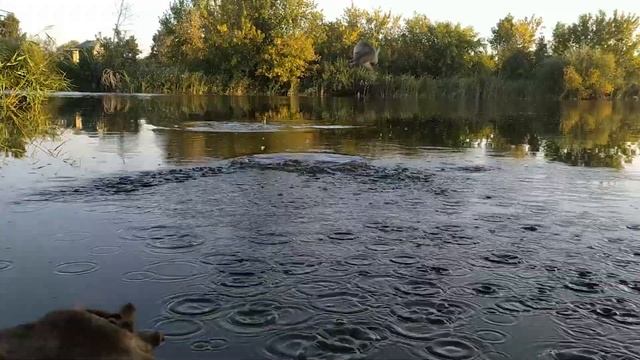 Какой ОПАРЫШ лучше – БЕЛЫЙ или КРАСНЫЙ?! Ароматизировать ОПАРЫША или НЕТ?! Эксперимент – День 1 смотреть онлайн