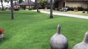 Вьетнамские каникулы. МуйНе. Ноябрь 2022. Прогулка по отелю Терракота.