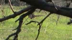 КИРОВСК. ЛУГАНСКАЯ ОБЛ.МАЙ 2013