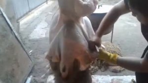 (4)Снятие шкуры барана