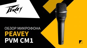 Обзор микрофона Peavey CM1