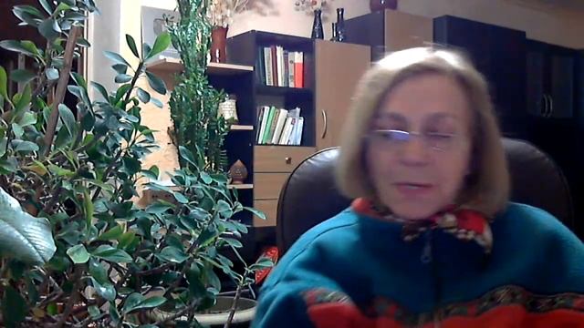 Принесли растение в дом! Что важно сделать?! Euphorbia trigona . Молочаи в доме. смотреть онлайн