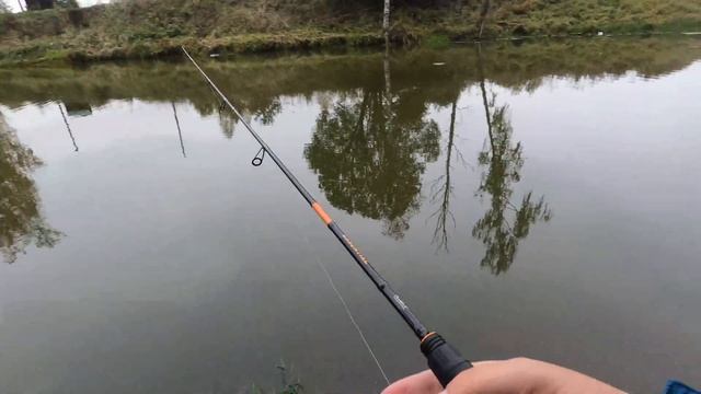 Открыли Осенний Сезон по Форели. Рыбалка в Подмосковье. смотреть онлайн