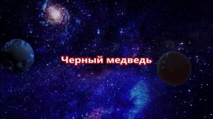 К чему снится Медведь.mp4