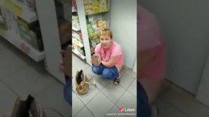 Тётенька насрало в магазине магнит
