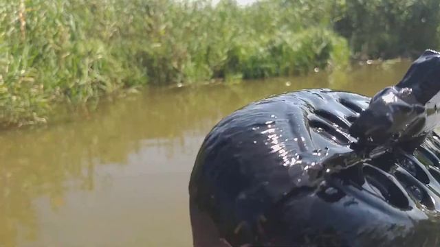 Лыска чучела для охоты