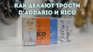 Как делают трости для саксофона и кларнета D'Addario и Rico