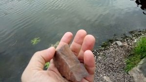 2746 Орловская област Свапское Копёнское Железногорское водохранилище река Свапа мост руда свинарни