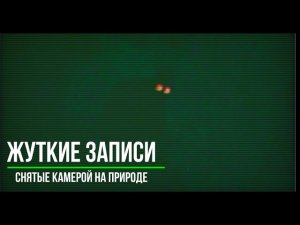 Жуткие Записи Снятые камерой на Природе__Страшные записи_Страшные истории на ночь (720p)
