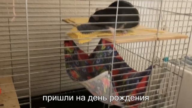 №1. Сдаю ЕГЭ в 20 лет / день рождения подруги / медленная жизнь в санкт-петербурге. смотреть онлайн